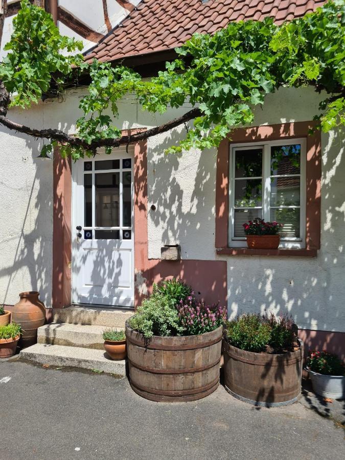 Schöne Ferienwohnung mit Kamin Neustadt an der Weinstraße Exterior foto